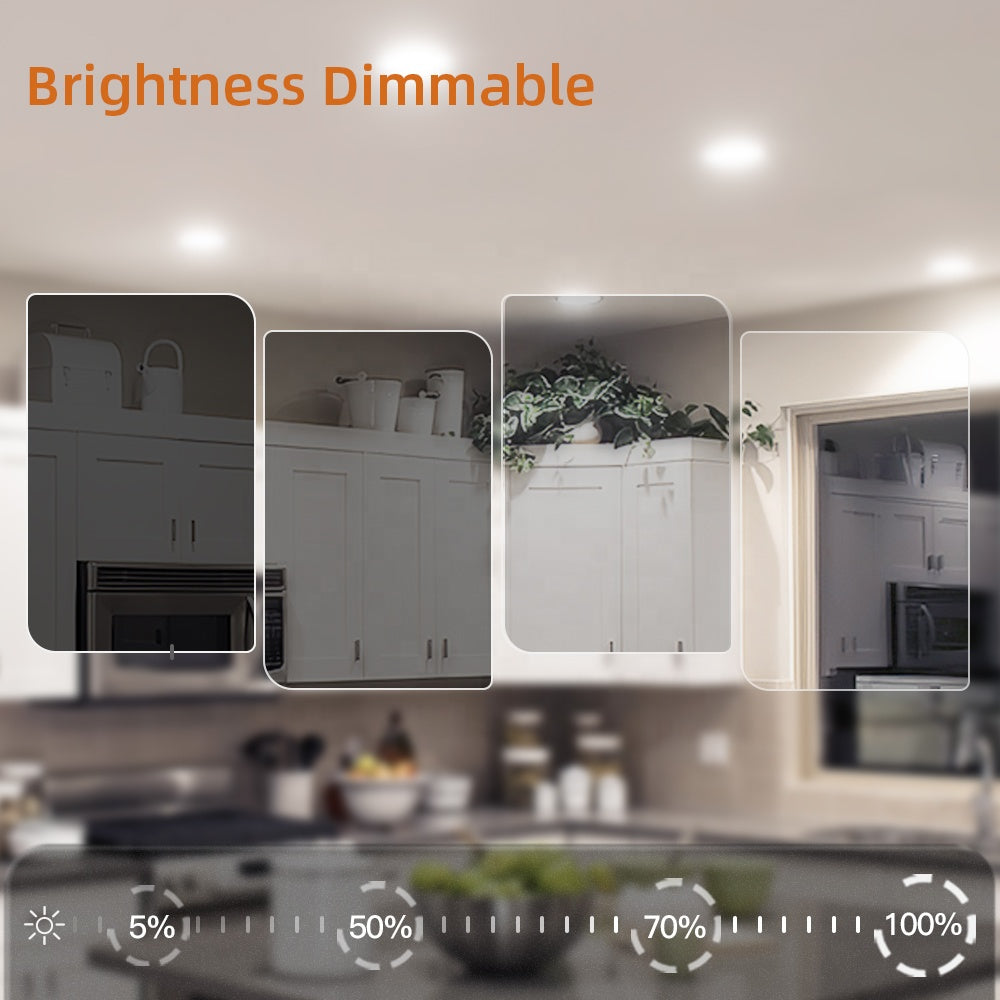 4-inch LED Slim Light Panel