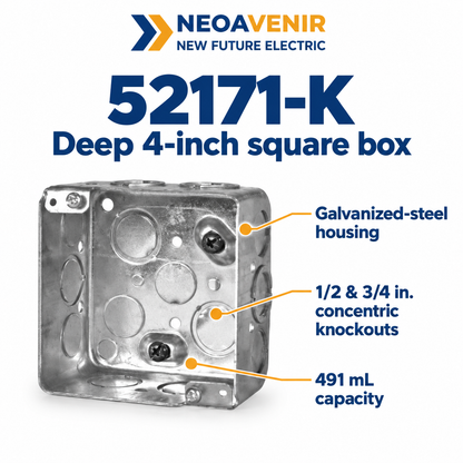 52171-K overview — NeoAvenir / New Future Electric