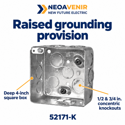 52171-K summary — NeoAvenir / New Future Electric