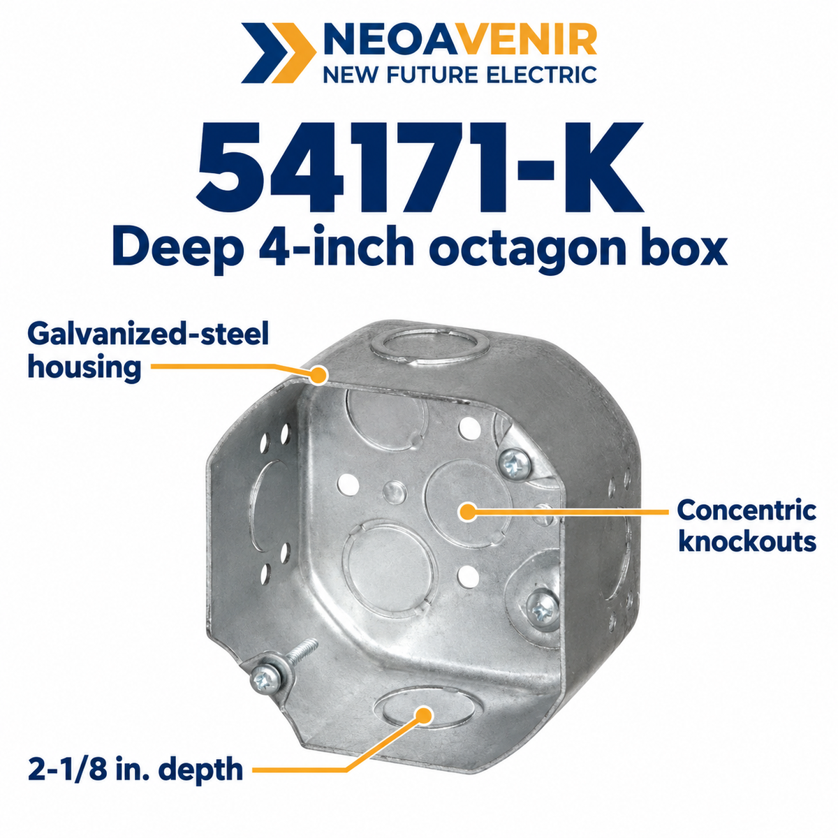 54171-K overview — NeoAvenir / New Future Electric