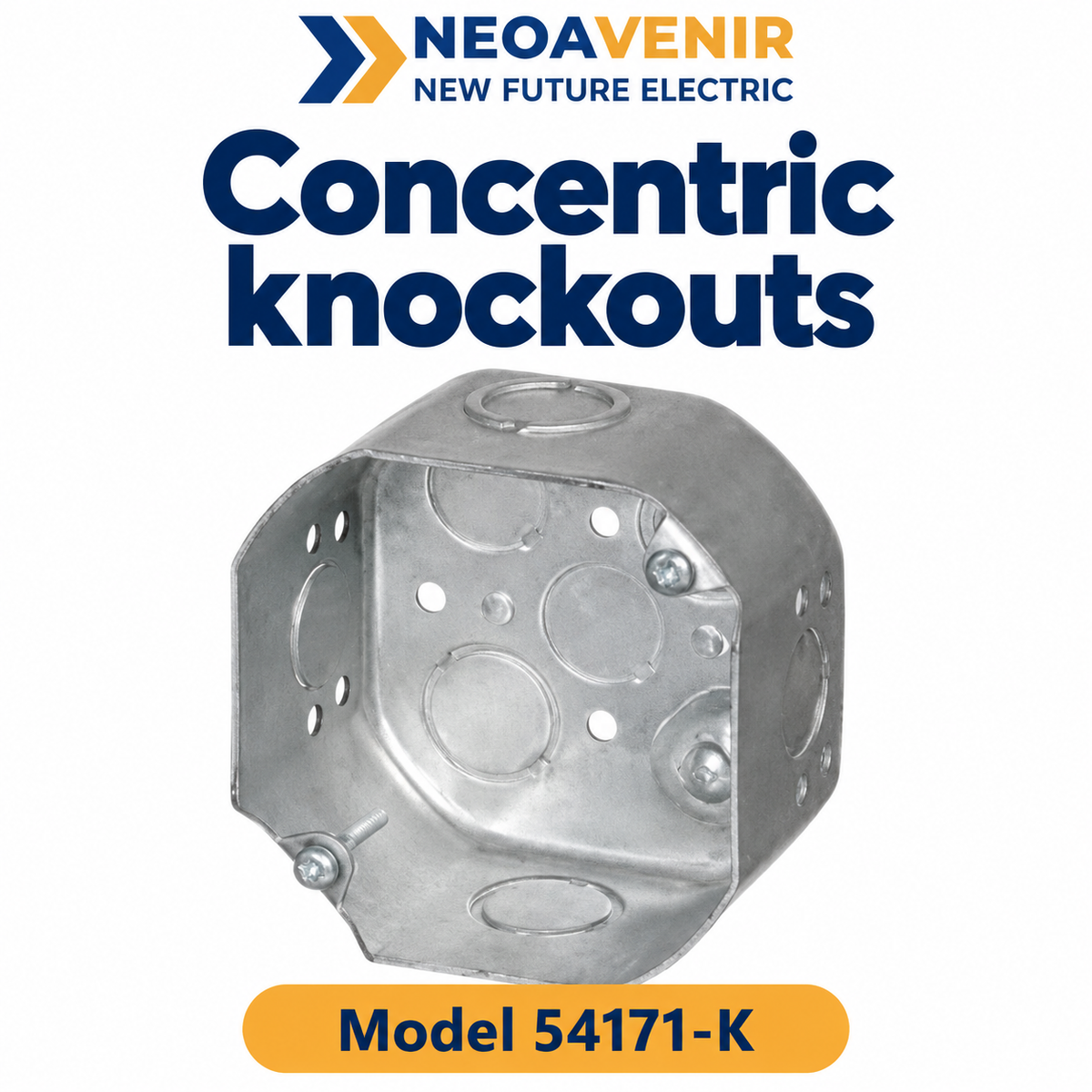 54171-K detail — NeoAvenir / New Future Electric