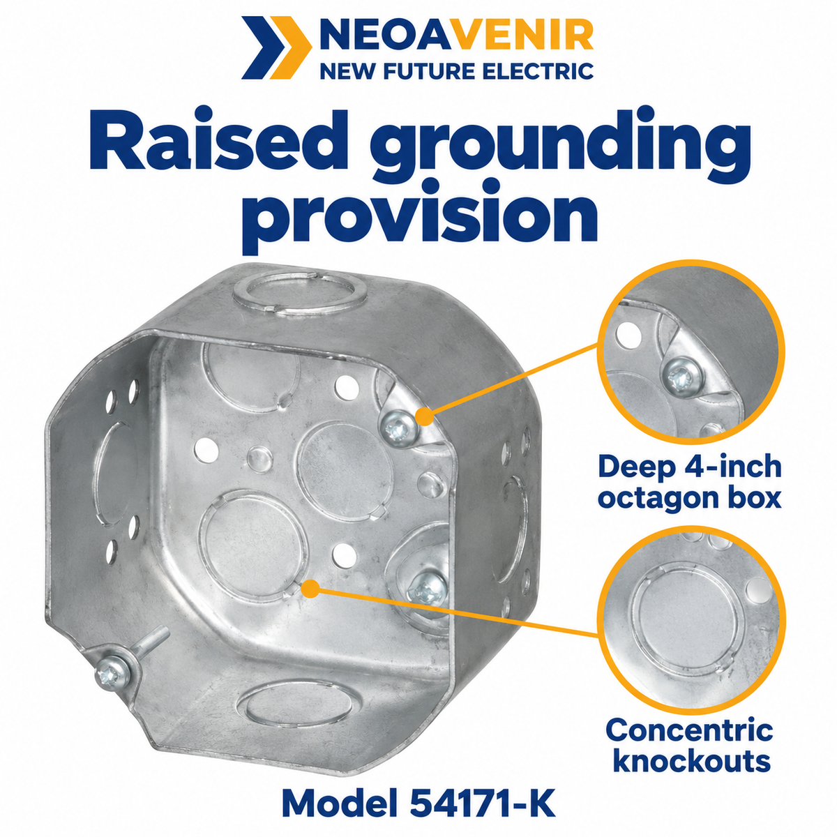54171-K summary — NeoAvenir / New Future Electric